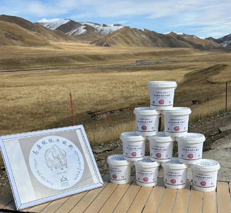 青藏高原牦牛酸奶|无添加剂无防腐剂纯牦牛奶|意大利工艺|基地直发