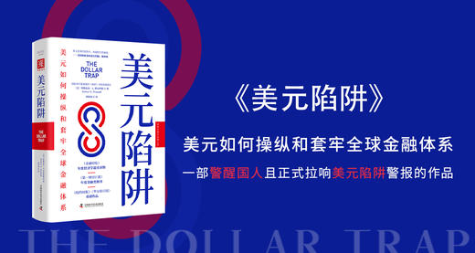 美元陷阱 商品图0