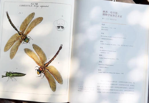 《自然的历史：精装典藏本》+《美国自然博物馆终极指南》 商品图3