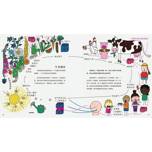 《思考科学的孩子 》（ 全3册）：《用元素积木搭建宇宙》《祖父母的祖父母从哪里来》《眼睛的秘密，只有大脑知道》 商品图5