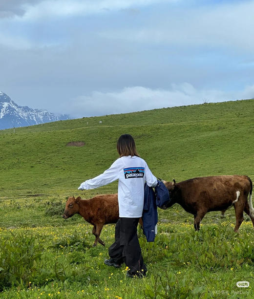 巴塔哥尼亚长袖T恤082703 商品图11