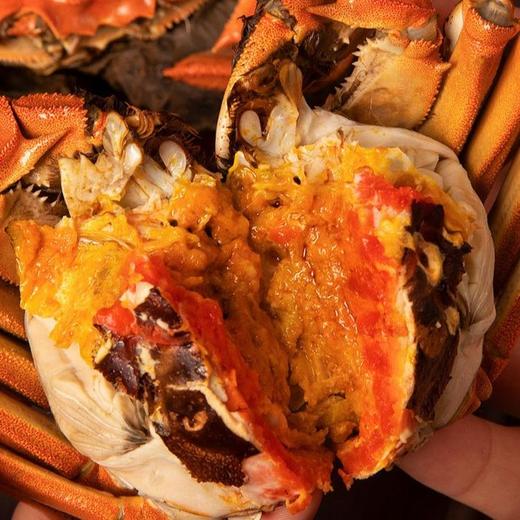 鳌蟹江湖 · 正宗阳澄湖大闸蟹卡，🎉秋天的第一份蟹礼！🌈源头直供 商品图7