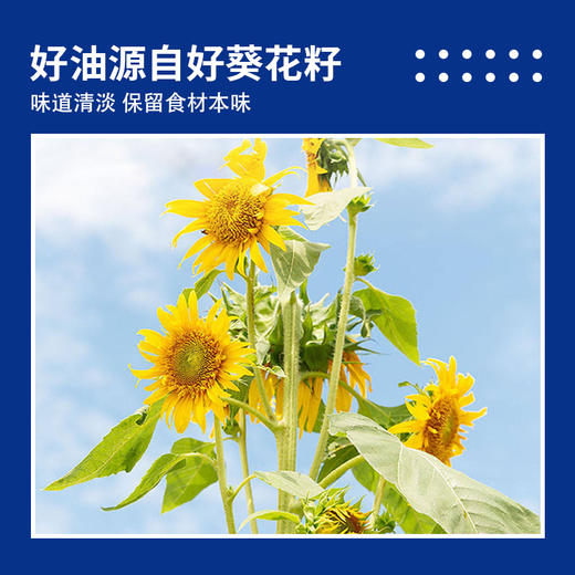 纳福汇葵花籽油1800ml 商品图2