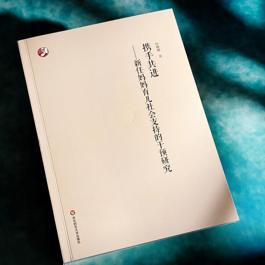 携手共进 新任妈妈育儿社会支持的干预研究 何姗姗 女性产后社会支持 商品图4