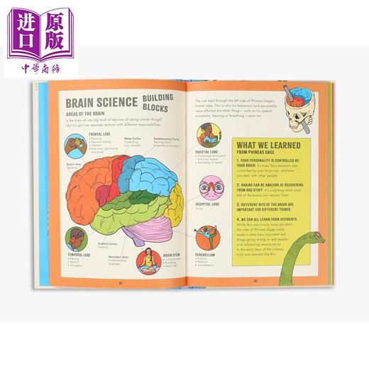 【中商原版】大脑深处 揭示大脑运作的十大发现 Inside Your Brain 英文原版 儿童知识绘本 少儿科普百科图画书 进口童书 精装 商品图2