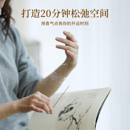 喜薰少年游好运线香檀香熏香助眠香薰室内持久净化喜熏读书专注香 商品图2