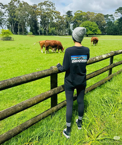 巴塔哥尼亚长袖T恤082703 商品图9