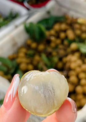 攀枝花老树鲜龙眼，石硖桂圆，剥开一颗石硖桂圆，晶莹剔透的果肉超诱人，咬一口直接爆汁，脆甜脆甜的💥  老树种的龙眼，品质老好了，为了保鲜，带枝发货！2斤/盒（带枝）