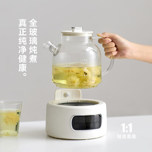 olayks.立时1.2L全玻璃养生壶OLK-LP-22 商品图2