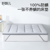 舒飘儿--防螨小蓝厚垫 商品缩略图5