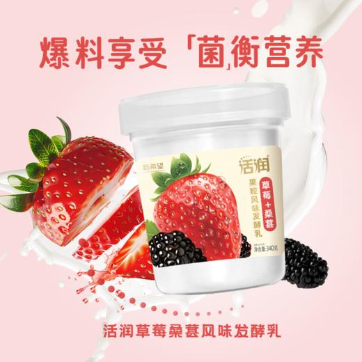 【雪兰订奶到家】活润圆杯草莓桑葚口味 | 圆杯 340g 配送上门【KM】 商品图0