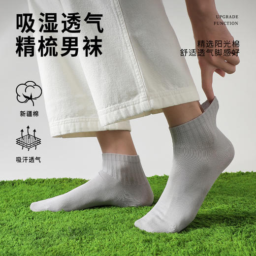 抵羊春秋款  男袜子 商品图0