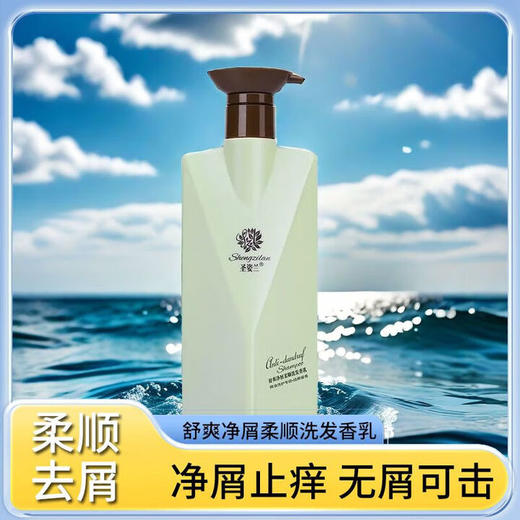 圣姿兰（Shengzilan）飘逸持久留香舒爽柔顺洗发乳亮泽清爽控油净屑美发去屑止痒 舒爽净屑柔顺洗发乳300mL 商品图2