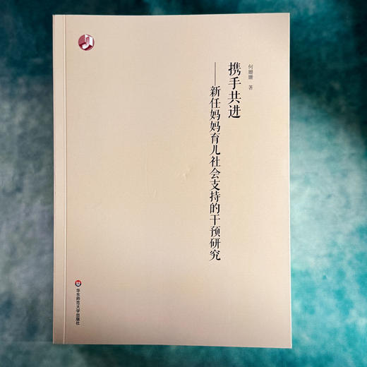 携手共进 新任妈妈育儿社会支持的干预研究 何姗姗 女性产后社会支持 商品图1