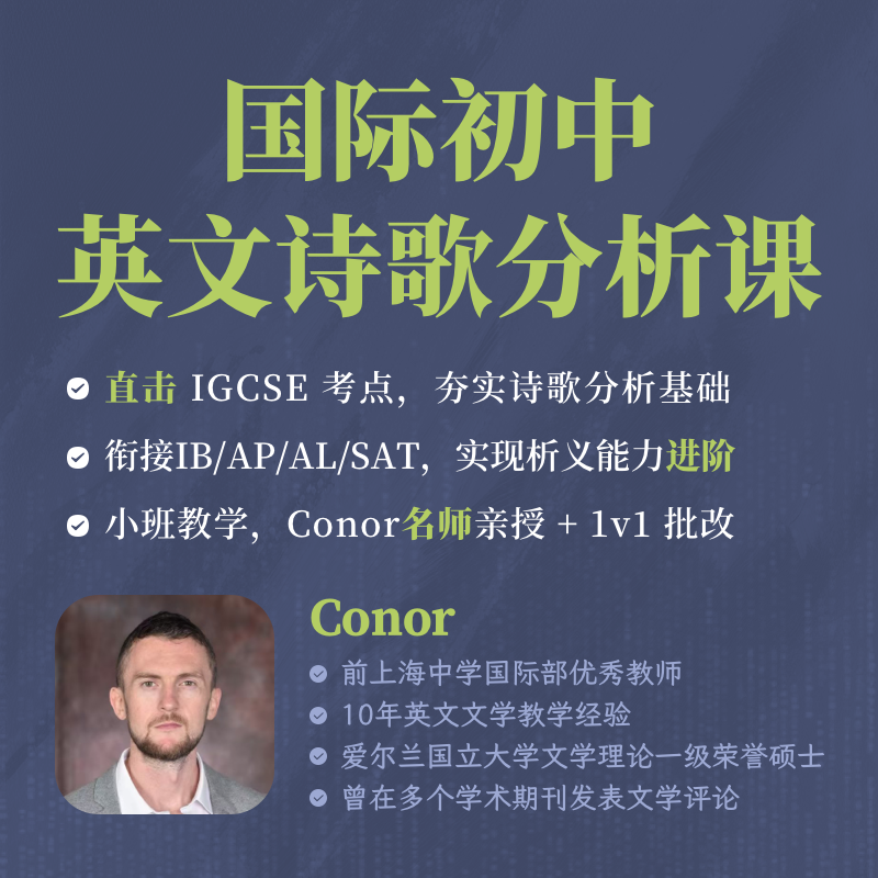 2025年 圣诞班 国际初中英文诗歌分析课