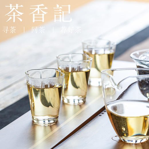 茶香记如愿白牡丹014 福鼎磻溪老白茶 一级白牡丹 甜醇柔和 枣香蜜韵参香温润 商品图4