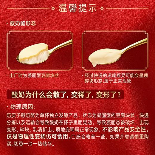 君乐宝120g奶皮子酸奶酪 商品图4