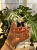 专柜版𝐘𝐬𝐥反转巴黎甜酷狂野温柔细腻切换行走性感女孩 商品缩略图5