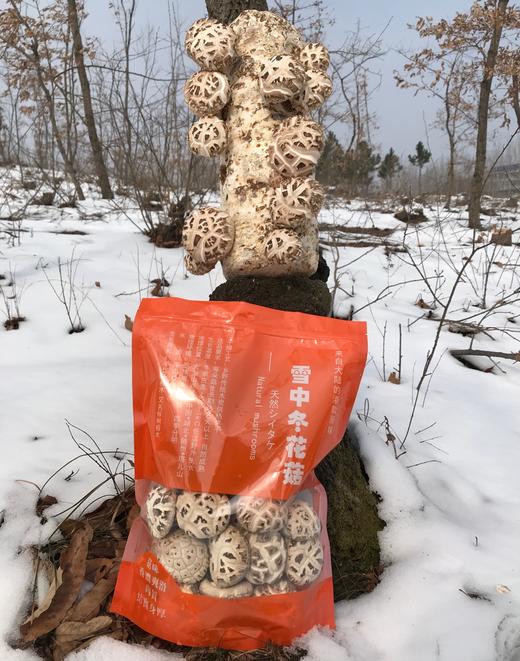 2025年 港款原味雪中冬花菇 【第九季/新菇】 商品图0