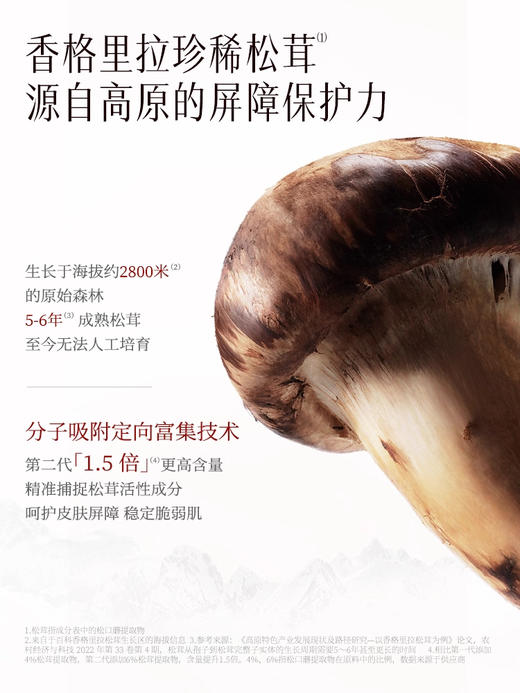 稀物集松茸精华水100ml+精华水10ml*2+同款面膜 商品图2