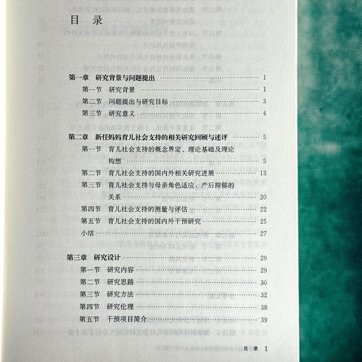 携手共进 新任妈妈育儿社会支持的干预研究 何姗姗 女性产后社会支持 商品图6
