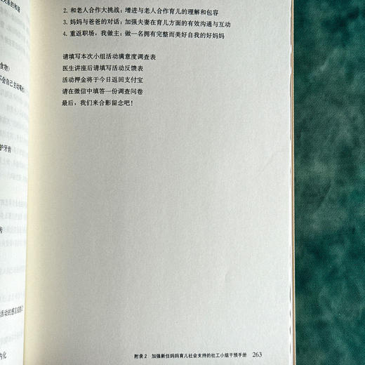 携手共进 新任妈妈育儿社会支持的干预研究 何姗姗 女性产后社会支持 商品图14