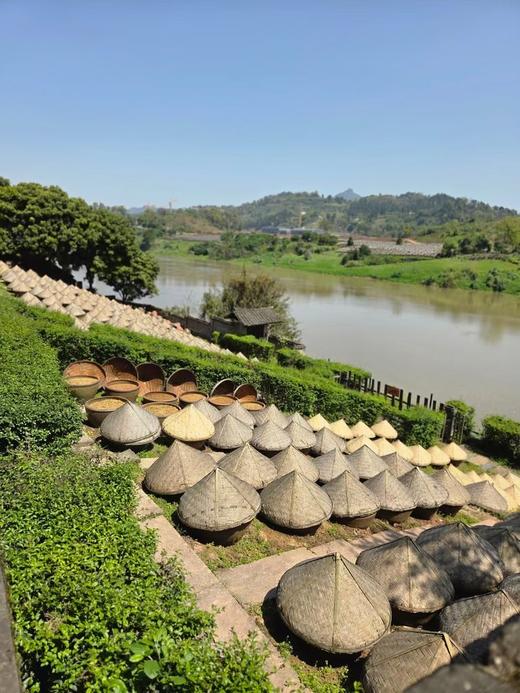 先市酱油（中国非遗） 商品图6