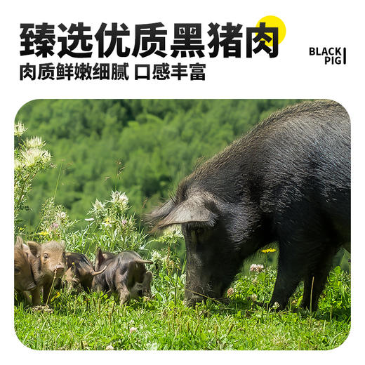 亲心纯臻黑猪肉烤肠 可以放心大口吃 商品图2