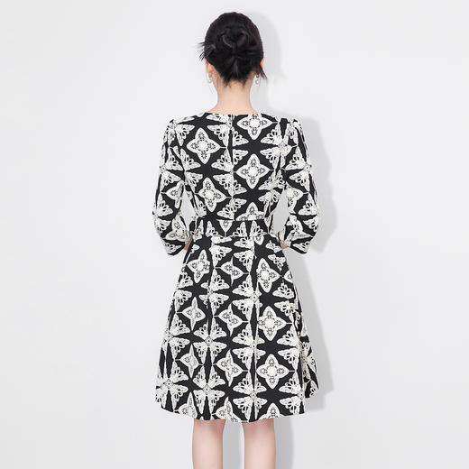 「高货wl」全新升级【铂金会员330/天猫449/差价119】(94931)洛诗琳气质轻奢刺绣花连衣裙2025秋季收腰显瘦大摆A字裙女 商品图1