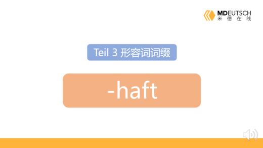 形容词后缀 -haft 商品图0