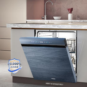 海尔（Haier）洗碗机 HWY18-B566YHU1
