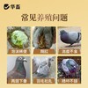 华畜沙君净鹦鹉赛鸽鸽子沙门氏菌大肠杆菌副伤寒绿便歪脖调肠道用 商品缩略图3