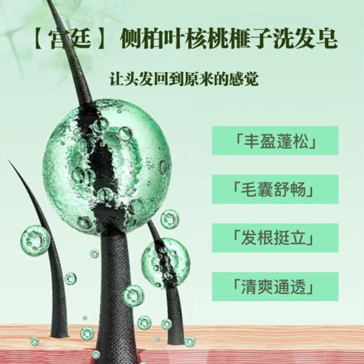 芙本天然侧柏叶核桃榧子洗发皂 商品图5