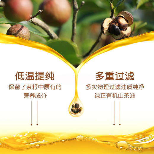 贵州铜仁三山谷有机野生山茶籽油250ml 商品图5