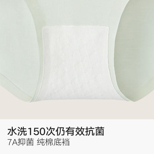 天猫常年Top榜🏅  杨超越代言品牌 「棉竹屋」棉竹屋女士内裤清仓合集 商品图12
