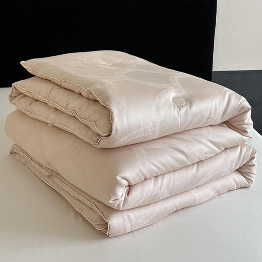 【热卖推荐】自然醒天丝棉大提花系列-雅奢蚕丝蛋白被TD 商品图12