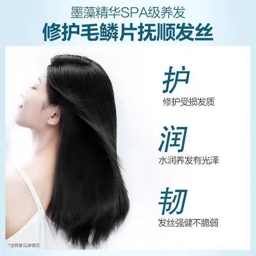 b2v墨藻洗发水(毛躁修护)750ml 商品图3