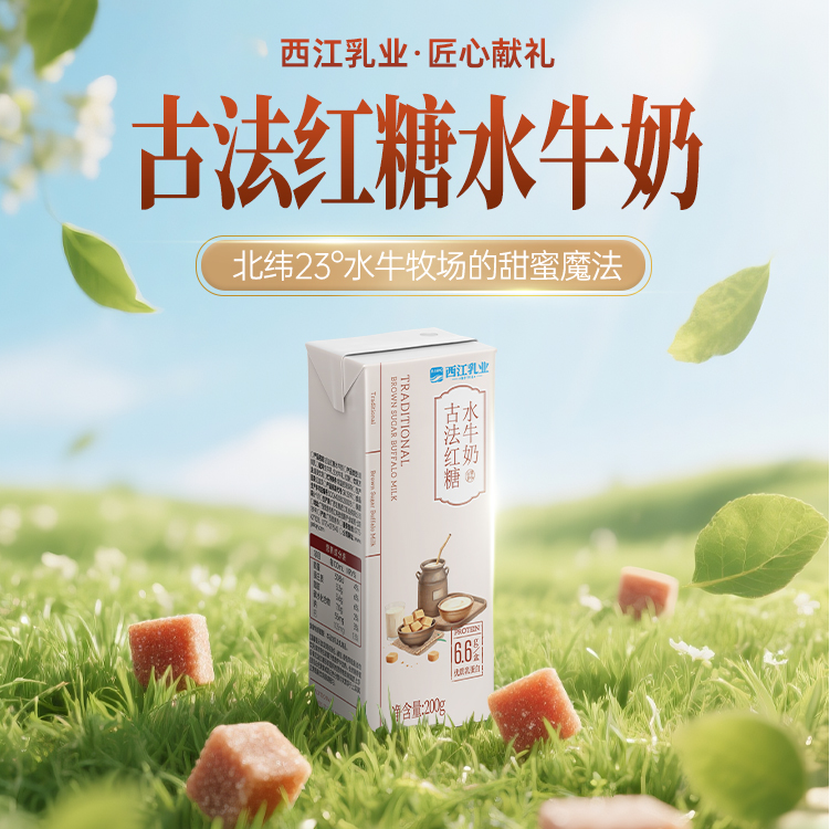 西江乳业丨古法红糖水牛奶 200g*10盒