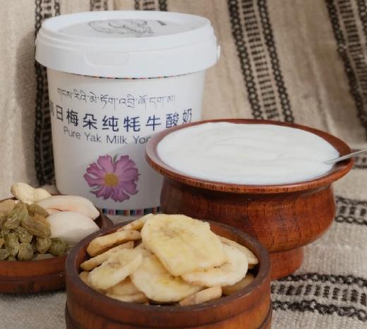 青藏高原牦牛酸奶|无添加剂无防腐剂纯牦牛奶|意大利工艺|基地直发 商品图1
