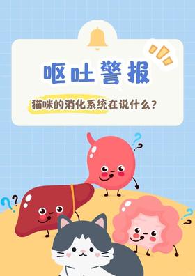 猫咪呕吐？快来看看怎么个事！