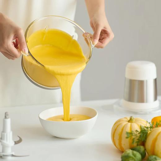 olayks.立时2L多功能绞肉机OLK-LP-21 商品图5