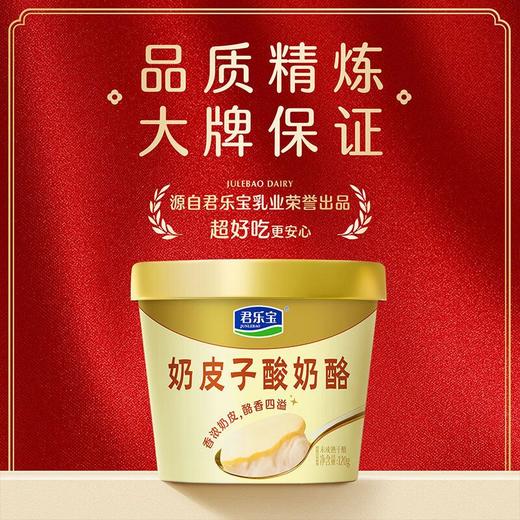 君乐宝120g奶皮子酸奶酪 商品图3