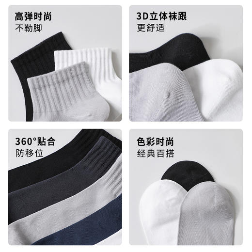 抵羊春秋款  男袜子 商品图4
