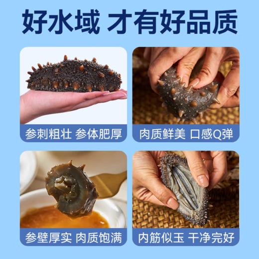 仁和御膳即食海参普通装，仁和集团旗下高端膳食品牌，选用纯正大连地产刺参，低温熟化工艺，锁住活参营养， 解冻即食，固形物含量》80%。2斤起售，全国顺丰包邮。 商品图3