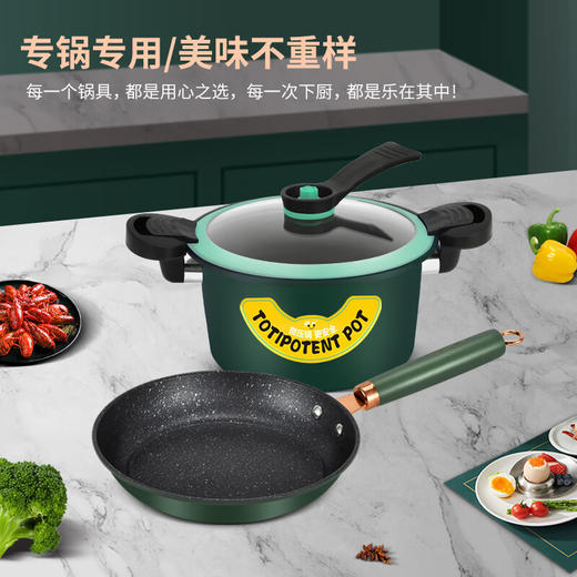 诺石北欧轻奢两件套 22cm微压锅+24cm煎锅 NS-T2402 商品图0