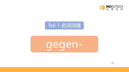 名词前缀 gegen- 商品图0