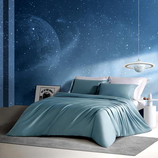 孚日家纺 咬鹃森林抗菌四件套/200*230 商品图1