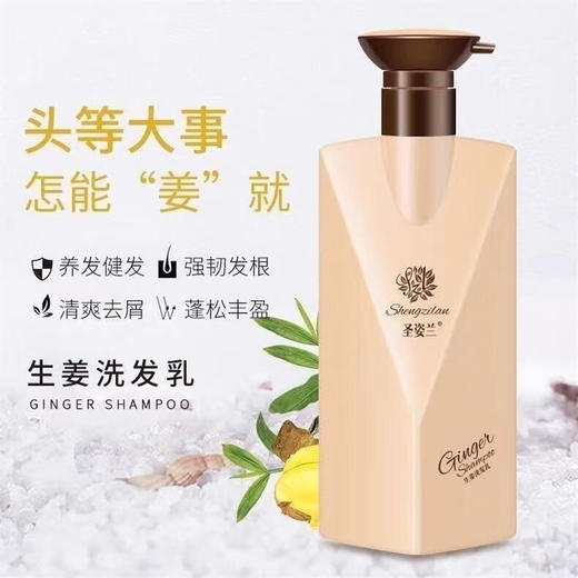 圣姿兰生姜洗发乳控油浓密润泽清爽去屑焕发活力去油止痒 生姜洗发乳300mL 商品图1