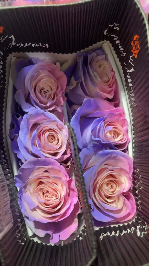 厄瓜多尔进口染色SWEET LOVE甜蜜的爱玫瑰10支 商品图4