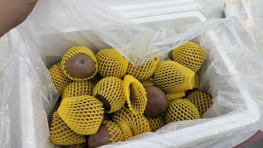 来自广西的满天星百香果 商品图2
